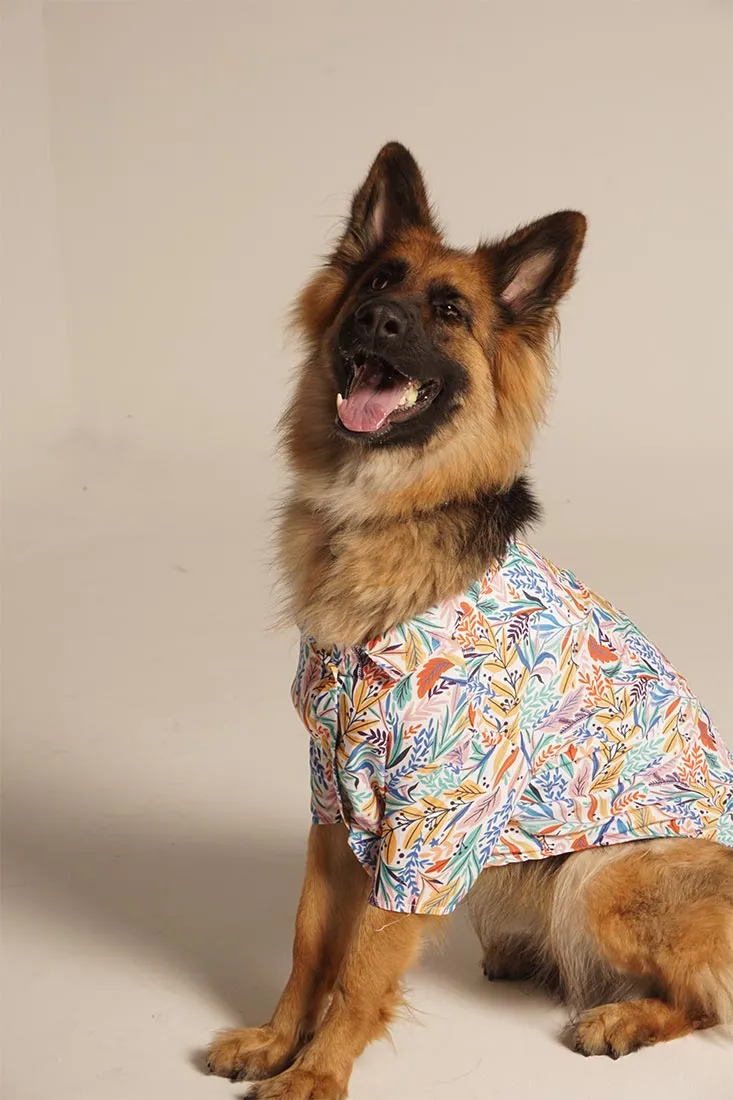 Custom-made Shirts